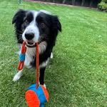 Noel Bird - @noelbird63 - Instagram