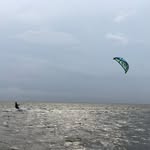 Noel Bird - @noel.bird - Instagram
