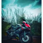 NOEL - @noelbirdwxs4 - Instagram