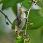 @noelbird_photography - Instagram