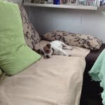 Noel Bock - @noelbock456 - Instagram