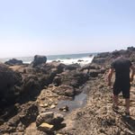 Noel Bocking - @noelbocking - Instagram
