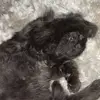 noellebockness0 - @noelle.bockness - TikTok