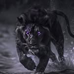 Noel Bolaños - @nowellcito - Instagram