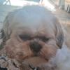 noel@borges - @noelborges762 - TikTok
