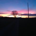 Noel Brooks - @noel.brooks.399 - Instagram
