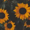 Noelbrooks2000 - @noelbrooks2000 - TikTok