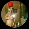 Noel Camacho - @noelcamacho1 - TikTok