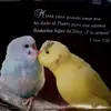 Noel cedillo - @noel.cedillo61 - TikTok