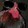 Guadalupo🫦🫦 - @noelceja - TikTok