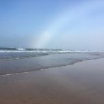 Noel Custer - @noel.custer - Instagram