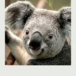 Noel Darling - @noel.darling.92 - Instagram
