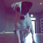 Rambo Julio Noel Devine Todd - @rambo_julio_noel_devine_todd - Instagram