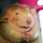 Noel Evans - @assbun_ - Instagram