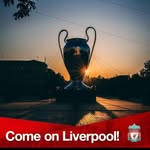 Noel Feeney - @noelfeeney85 - Instagram
