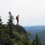 Noel Field - @whereinmaine - Instagram