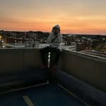 Hector Noel Franceschi Jr - @hdot_2loyal - Instagram