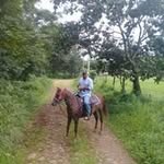 Noel Franceschi - @nejin1410 - Instagram
