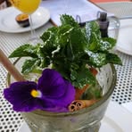 Noelle Franceschi - Facebook