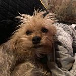Noel Grein - @greinnoel - Instagram