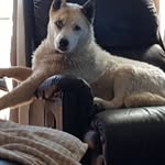 Noel A. Hansen - @noel.hansen.58 - Instagram