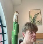 Noel Hansen - Facebook