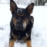 Noel Hill - @noelhill1 - Instagram