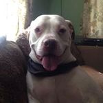 Noel Holmes - @fullblast65 - Instagram