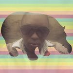 Noel Janson - @noel.janson - Instagram