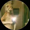 Noel Jimenez - @noel.jimenez54 - TikTok