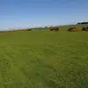 noeljoyce6 - @noeljoyce6 - TikTok