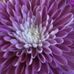 Noel Lane - Facebook