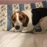 Noell - @noel_little_2019 - Instagram