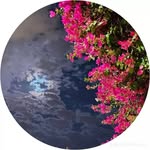 nawallmran - @noellongrun - Instagram