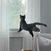 Noel Long - @noel.long2 - TikTok