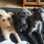 Noel Long - @noel.long.10 - Instagram