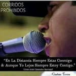 Noel Lujan - @noel_451 - Instagram