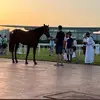 Noel Mc Donnell - @noel.mc.donnell - TikTok