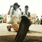 Noel Mc Donnell - @noelmcdonnell4821 - Instagram