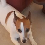 Noel McLaughlin - @mclaughlin_noel - Instagram