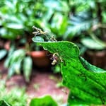 Noel - @noelmclean2sfy - Instagram