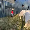 Noel Mora - @noel.mora40 - TikTok
