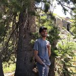 Noel Morris - @noelwmorris - Instagram