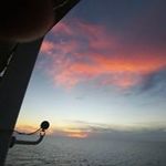 Noel Morris - @noel.morris.7169 - Instagram