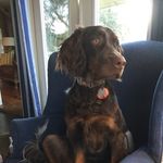 Noel Morris - @noelmorris1506 - Instagram