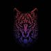 Noel Morrison - Facebook
