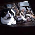 Noel Ocampo - @noel.ocampo.520 - Instagram
