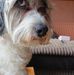 Noel Ogle - Facebook