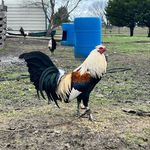 Landaverde Noel - @noel.olvera12 - Instagram