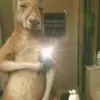 Noel Olvera Espitia - @noel.olvera.espit3 - TikTok